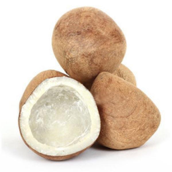 Dry Coconut Set Of 2