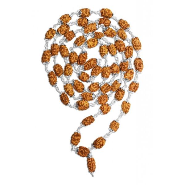 2 Mukhi Indonesian Rudraksha Mala 54 Beads In Silver (13mm-14mm)