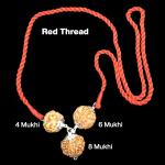 Rudraksha Combination for Advocates 4,6,8 Mukhi Nepal in Silver Pendant