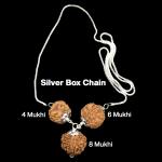 Rudraksha Combination for Advocates 4,6,8 Mukhi Nepal in Silver Chain