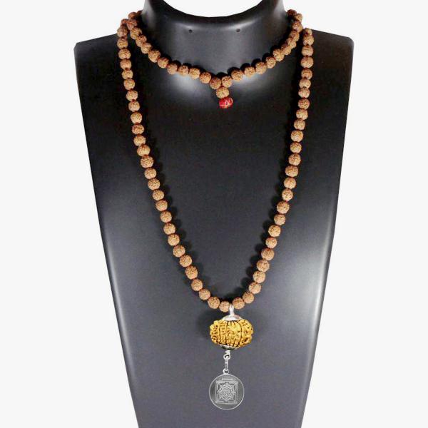 Mahamritunjaya Kavach 14 Mukhi Rudraksha With Silver Yantra Attached In Rudraksha Mala