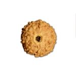 9 Mukhi Indonesian Rudraksha Small